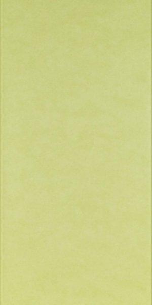 SANDERSON PARCHMENT PLAIN WALLPAPER